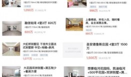 k50u最新爆料,性能与设计双升级，全面解析这款旗舰手机的亮点